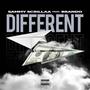 Different (Explicit)