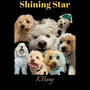 Shining Star (feat. Farber)