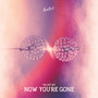 Now You're Gone