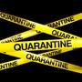 quarantine (feat. Q ROSE) [Explicit]