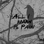 All I Know Is Pain (Explicit)