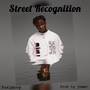 Street recognition (Explicit)