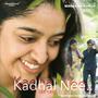 Kadhal Nee anbe, Vellarikkapattanam Tamil love song (feat. Santhosh Sivashanmugam)