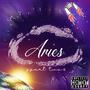 ARIES P2 (Explicit)