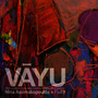 VAYU: Multi-cultural Flute Solos From the Twenty-First Century