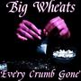 Every Crumb Gone (Explicit)