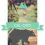 Cel-Oso