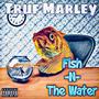 Fish N The Water (Explicit)