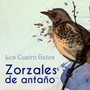 Zorzales de Antaño… Los Cuatro Gatos