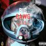 Big Dawg (Explicit)