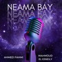 Neama Bay (Instrumental Collection)