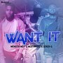 Want It (Explicit)