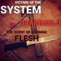 The Scent Of Burning Flesh (feat. Brainmold)