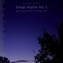 Indigo Nights Vol. 1