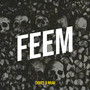 Feem (Explicit)