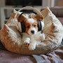 Dogs' Day In: Chill Music for Relaxation