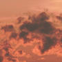The Sun (Explicit)