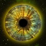 All I See Is