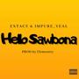 Hello Sawbona (feat. Impure_veal) [Explicit]