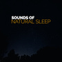 Sounds of Natural Sleep