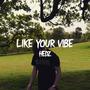 like your vibe (Explicit)