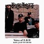 Voice of E.K Ⅱ (Explicit)