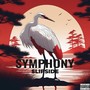 SYMPHONY (Explicit)