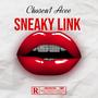 Sneaky Link (Explicit)