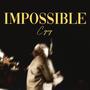IMPOSSIBLE
