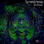 Synesthesia