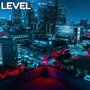 Level