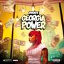 Georgia Power (Explicit)