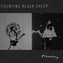 Counting Black Sheep