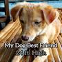 My Dog Best Friend