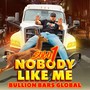 Nobody Like Me