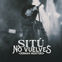 Si Tú No Vuelves