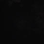 Black (feat. Total Loss) [Explicit]