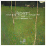 Schubert: Duos pour piano et violon