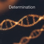 Determination