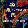 2020 北雁门Homiside Cypher II