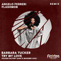 Try My Love (Remixes)