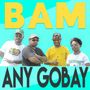 Ani Gobay