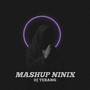 Mashup Ninix