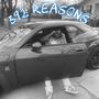 392 REASONS (Explicit)