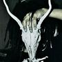 REAPER (Explicit)