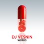 DJ Vesnin Works