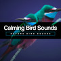 Calming Bird Sounds