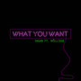 What You Want (Explicit)