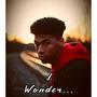 I wonder... (Explicit)