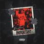 Important (Explicit)